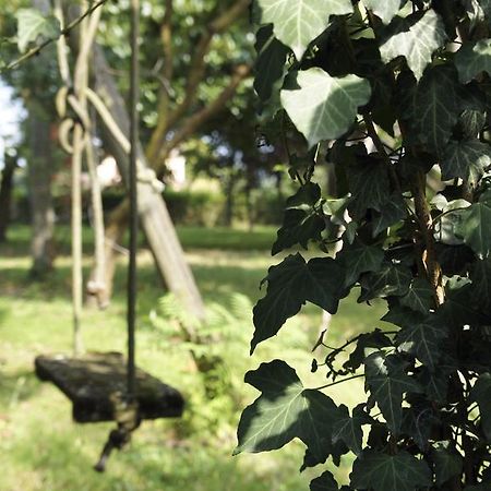 Agriturismo Da Gas San Giorgio In Bosco ภายนอก รูปภาพ