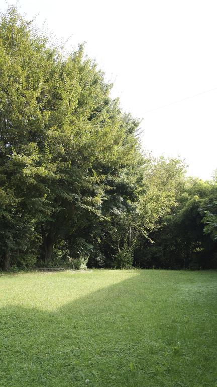 Agriturismo Da Gas San Giorgio In Bosco ภายนอก รูปภาพ