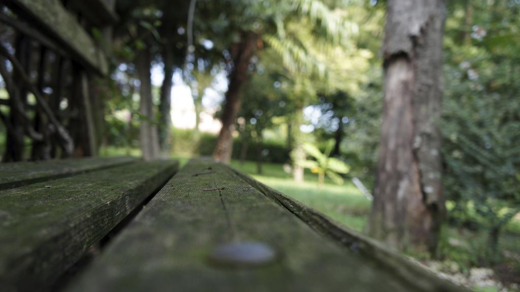 Agriturismo Da Gas San Giorgio In Bosco ภายนอก รูปภาพ