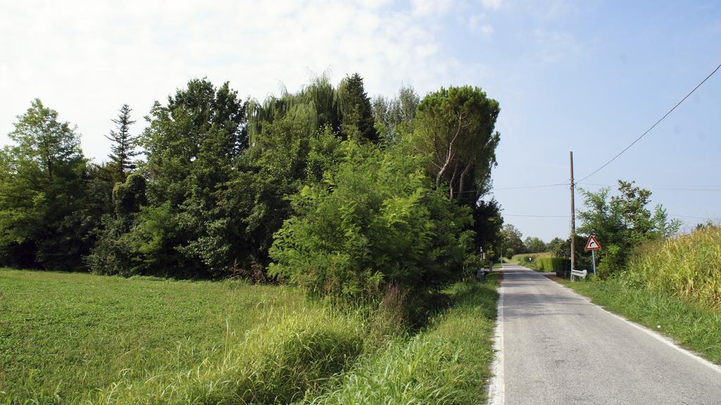 Agriturismo Da Gas San Giorgio In Bosco ภายนอก รูปภาพ